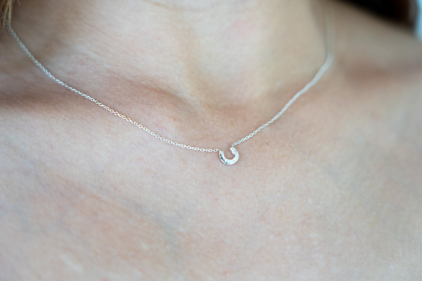 Horseshoe Pendant Necklace
