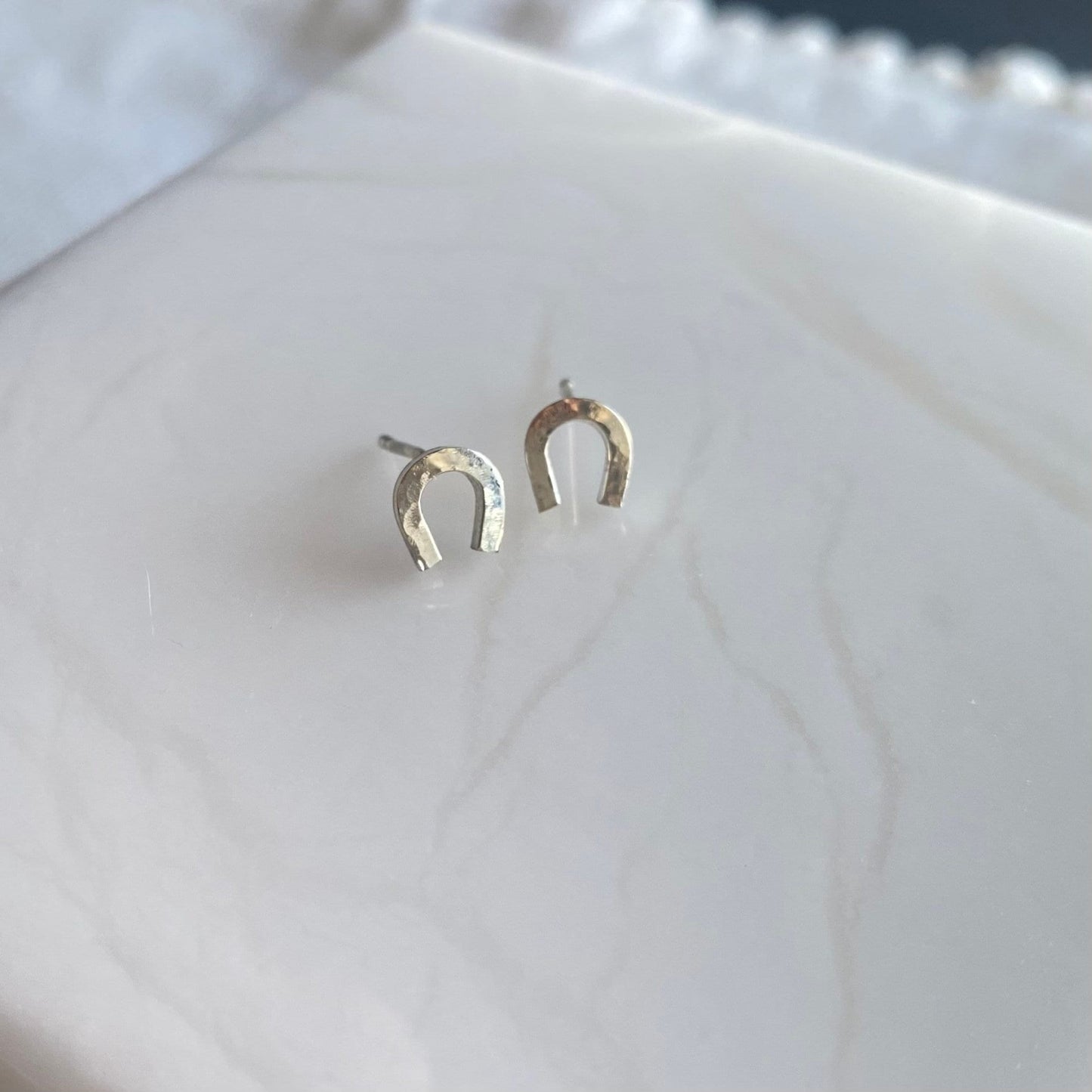 Horseshoe Earrings