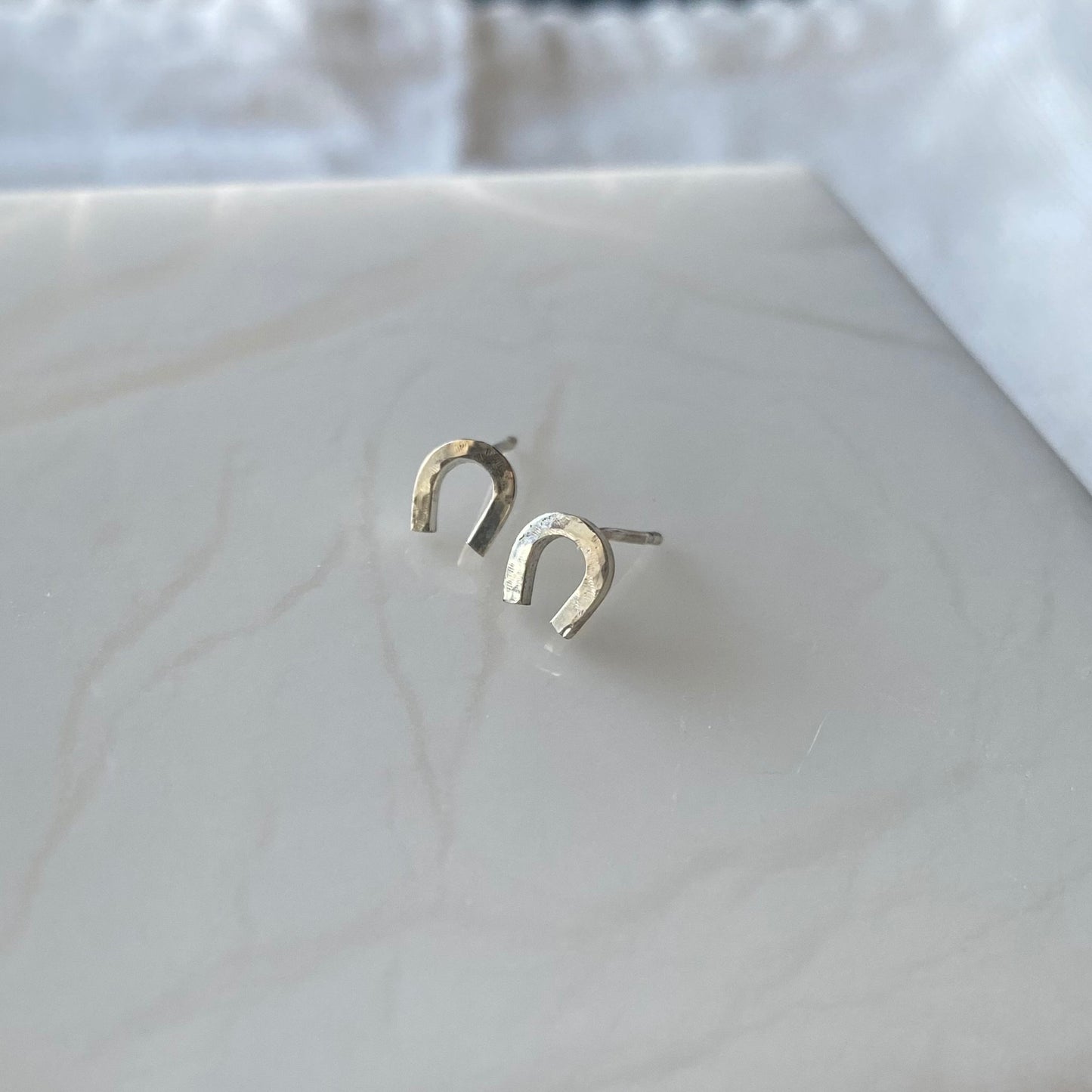 Horseshoe Earrings